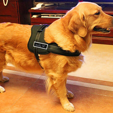 Adjustable Soft Dog Harness Vest Control Chest Strap Collar