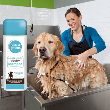 300ml Medicated Dog & Puppy Shampoo – Shed Control with Coconut Oil