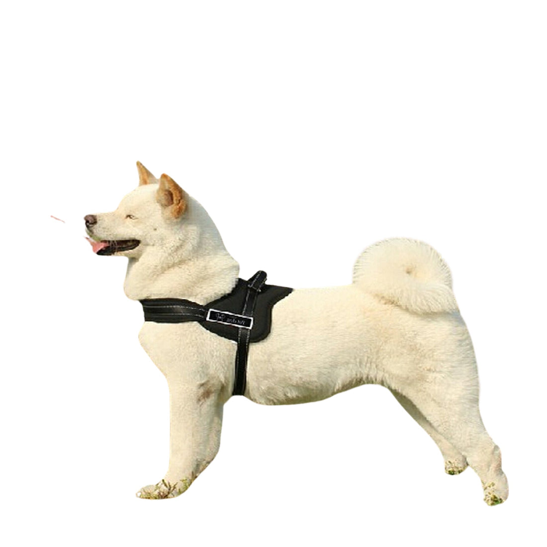 Black Adjustable Soft Dog Harness Vest – No-Pull Control Chest Strap