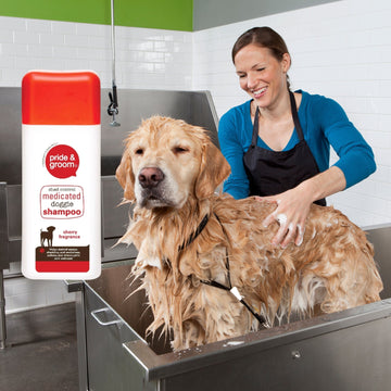 300ml Medicated Dog Shampoo – Shed Control & Puppy Safe with Cherry Fragrance
