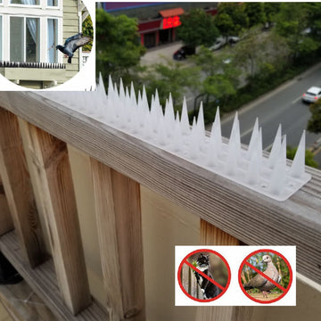 12-Pack Clear Plastic Anti-Bird & Pest Deterrent Spikes – 3cm Long Spikes for Birds, Cats, Dogs & Pigeons