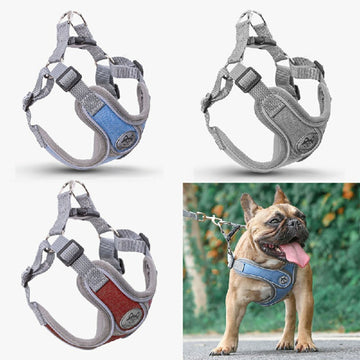 Adjustable Dog Harness Vest with Leash Red Padded Safety Set (L)