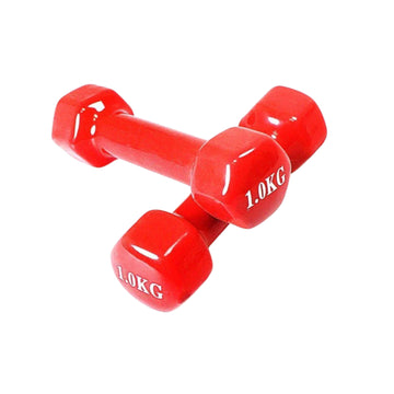 1kg Vinyl Dumbbell Red Fitness Weight for Home Gym, Boxing, & Aerobics (1 Piece)