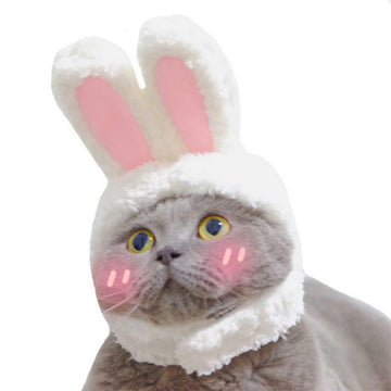 Cute Bunny Ears Hat for Cats & Small Dogs Easter Pet Costume