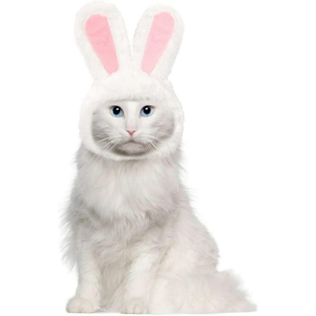 Cute Bunny Ears Hat for Cats & Small Dogs Easter Pet Costume